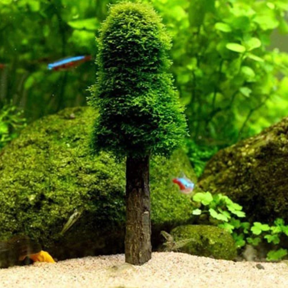 Aquarium Planted Background - Simülasyon Noel Ağacı Akvaryum Yosun Bitkileri