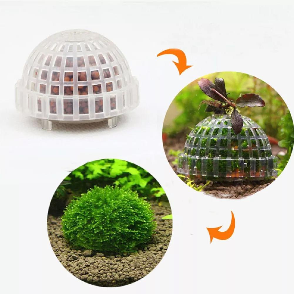 Planted Aquarium Models - 1 adet Akvaryum Yosun Topu Tutucu