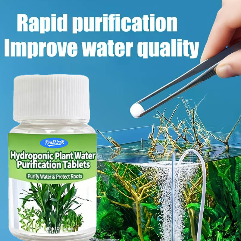 Aquarium Plant In Pot - Hidroponik Su Arıtma Tabletleri - Akvaryumlar,