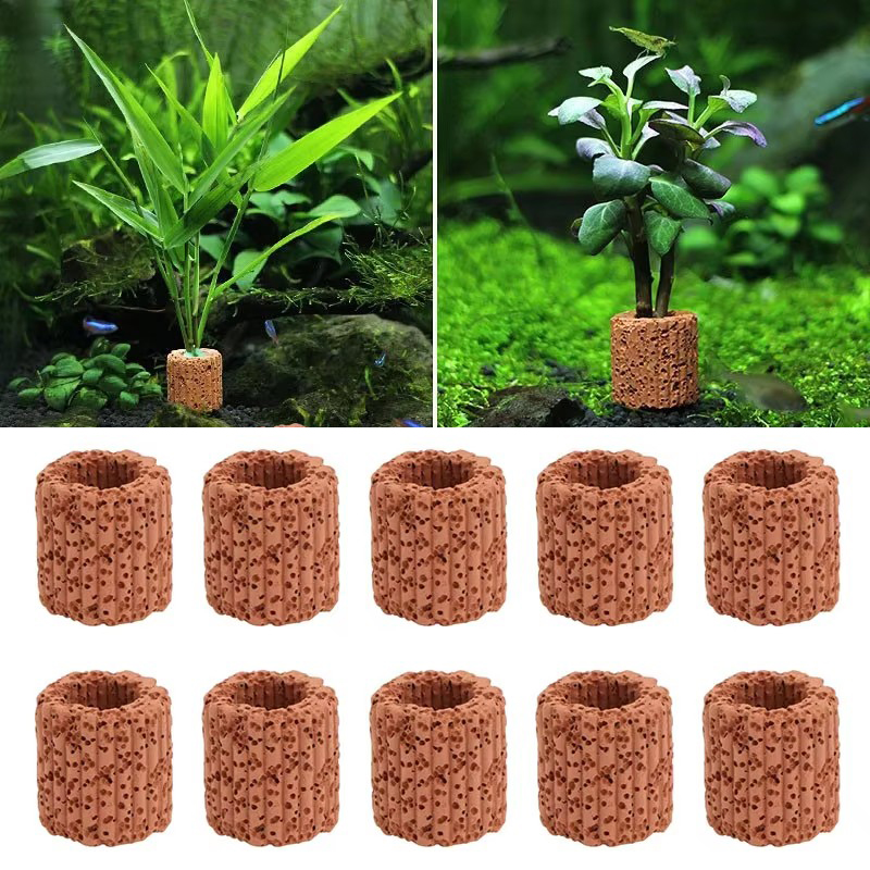 Aquarium Plant Design - Su bitkisi sabit halka akvaryum peyzaj