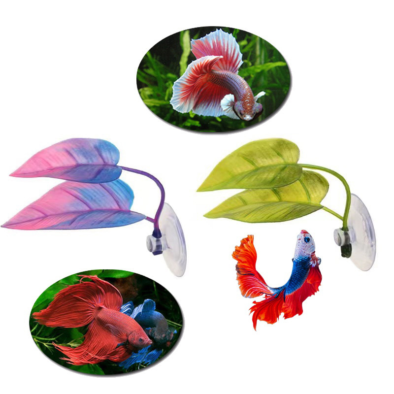 Planted Aquarium For Betta - Yapay Su Bitkisi Akvaryum Peyzajı Betta