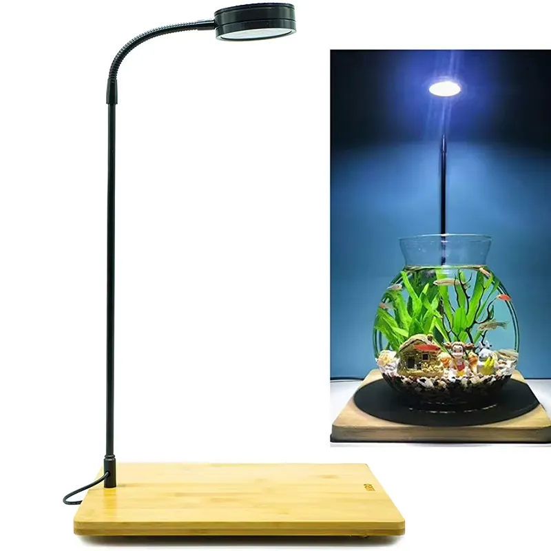 Planted Aquarium For Betta - Akvaryum Nano Tankı Betta Balık Tankı