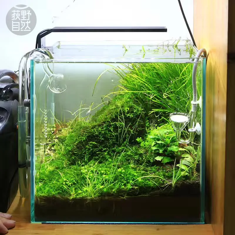 Aquarium Plant Growth Light - Spirürler C Serisi ADA Tarzı Bitki