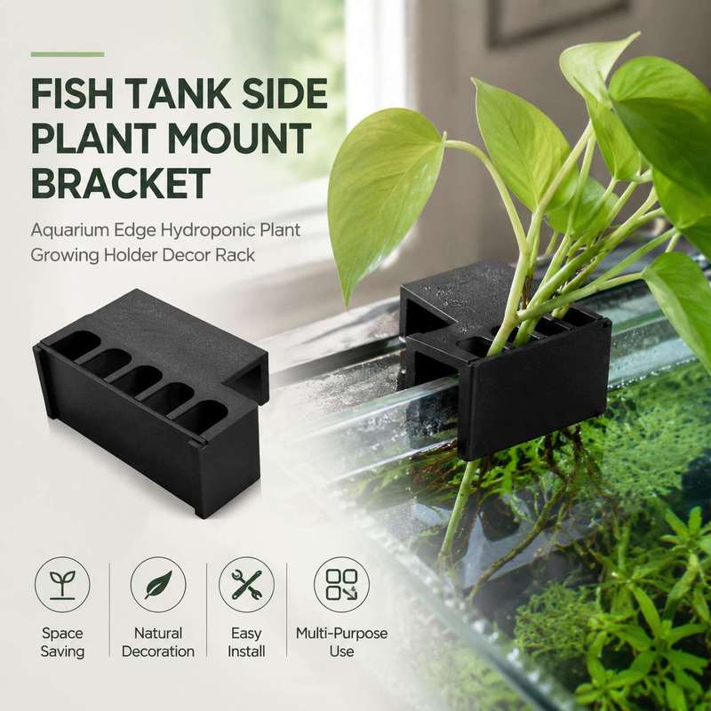 Aquarium Plant Holder - Balık Tankı Yan Bitki Montaj Braketi