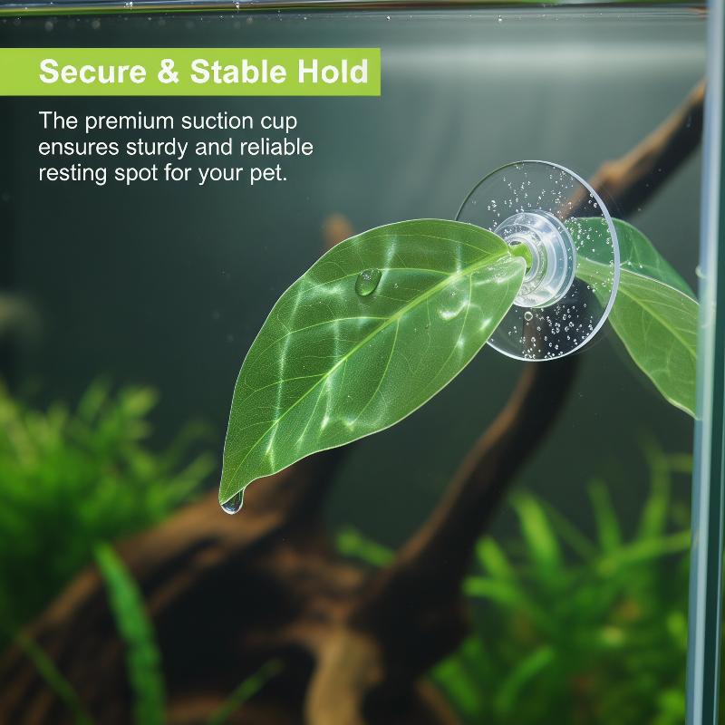 Planted Aquarium For Betta - Akvaryum Aksesuarları Balık Tankı Betta Yaprağı