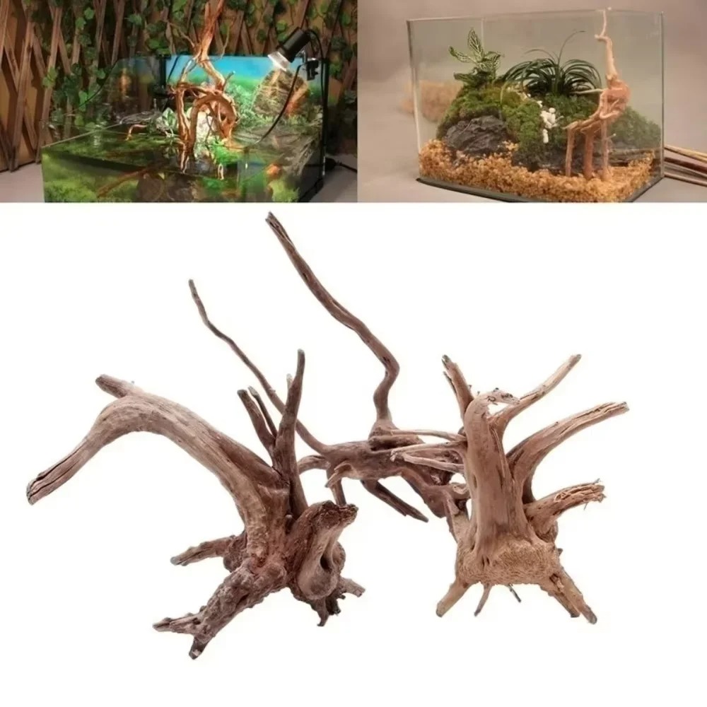 Aquarium Planting Ideas - 15-20CM Doğal Kök Ağacı Akvaryum Dekoru
