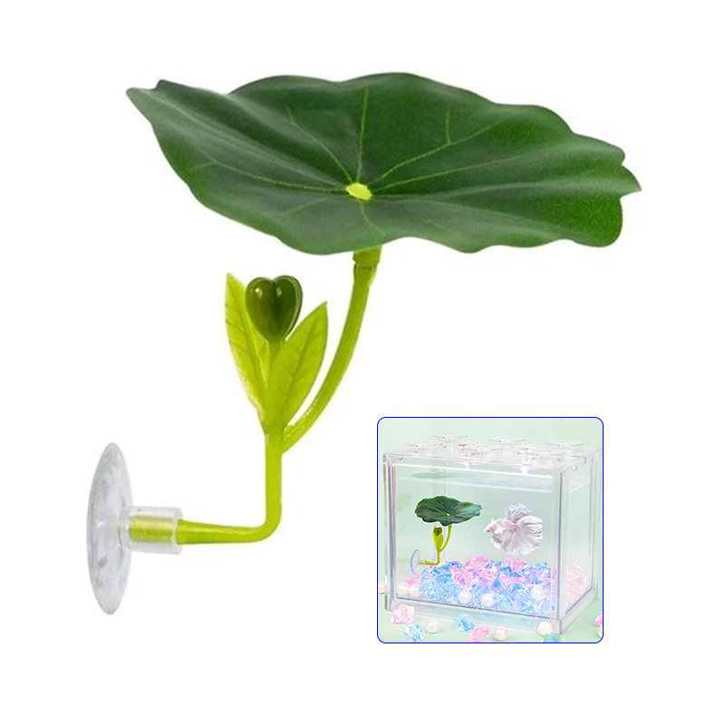 Planted Aquarium For Betta - 1 adet yeşil yaprak hamak Betta