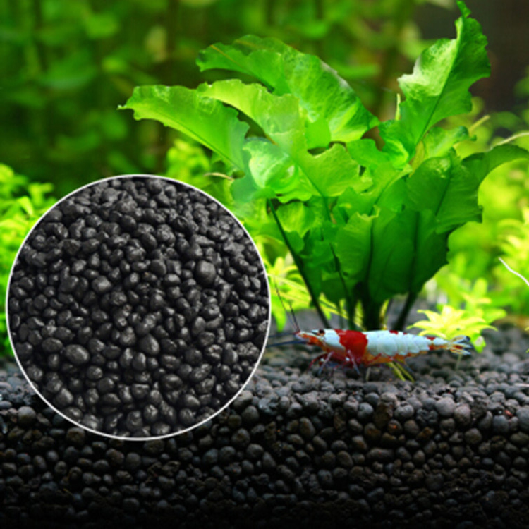 Aquarium Plant In Pot - Akvaryum bitki tohumları toprak balık tankı