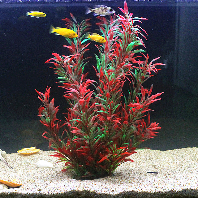 Aquarium Plant Design - 50 CM Yapay Balık Tankı Nadir