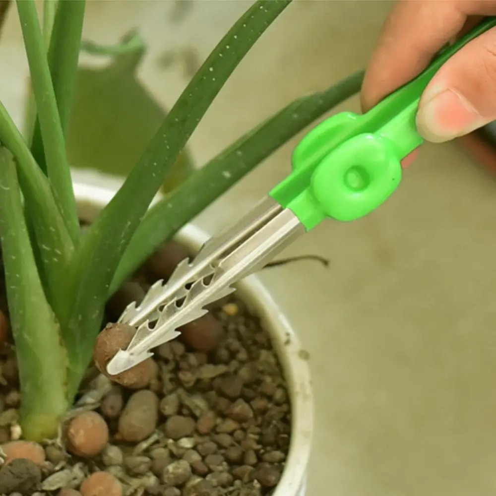 Açık bahçe ayıklayacaktır klip - Planted Clip Tweezers incelemesi ve fiyatı