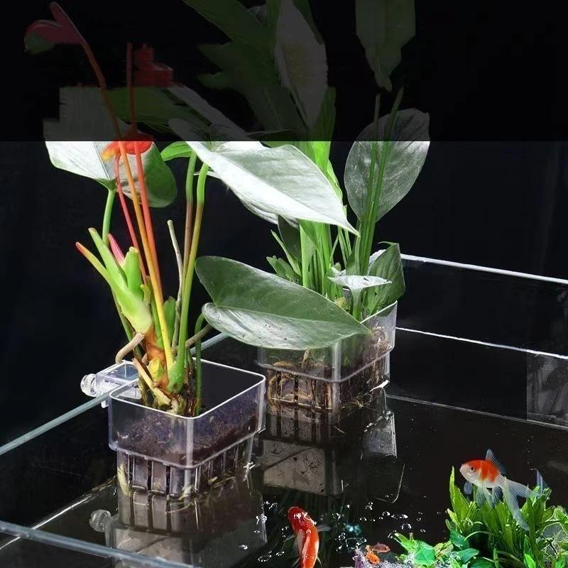 Balık Tankı İçin Şeffaf Asılı  - Aquarium Plant Easy To Grow incelemesi ve fiyatı