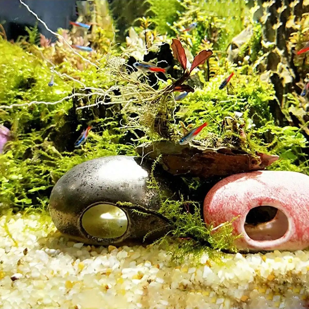 1 adet-250g Doğal Kristaller ç - Planted Aquarium With Gravel incelemesi ve fiyatı