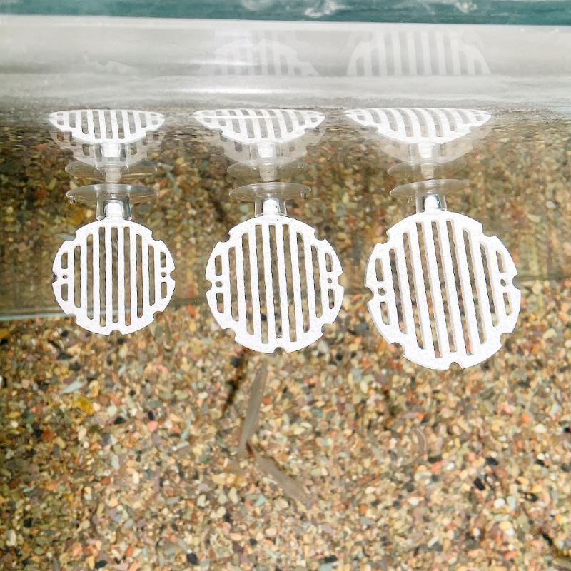 Plastik Balık Tankı Akvaryum Y - Planted Aquarium For Betta incelemesi ve fiyatı