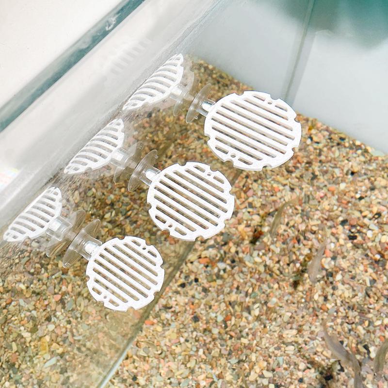 Plastik Balık Tankı Akvaryum Y - Planted Aquarium For Betta incelemesi ve fiyatı