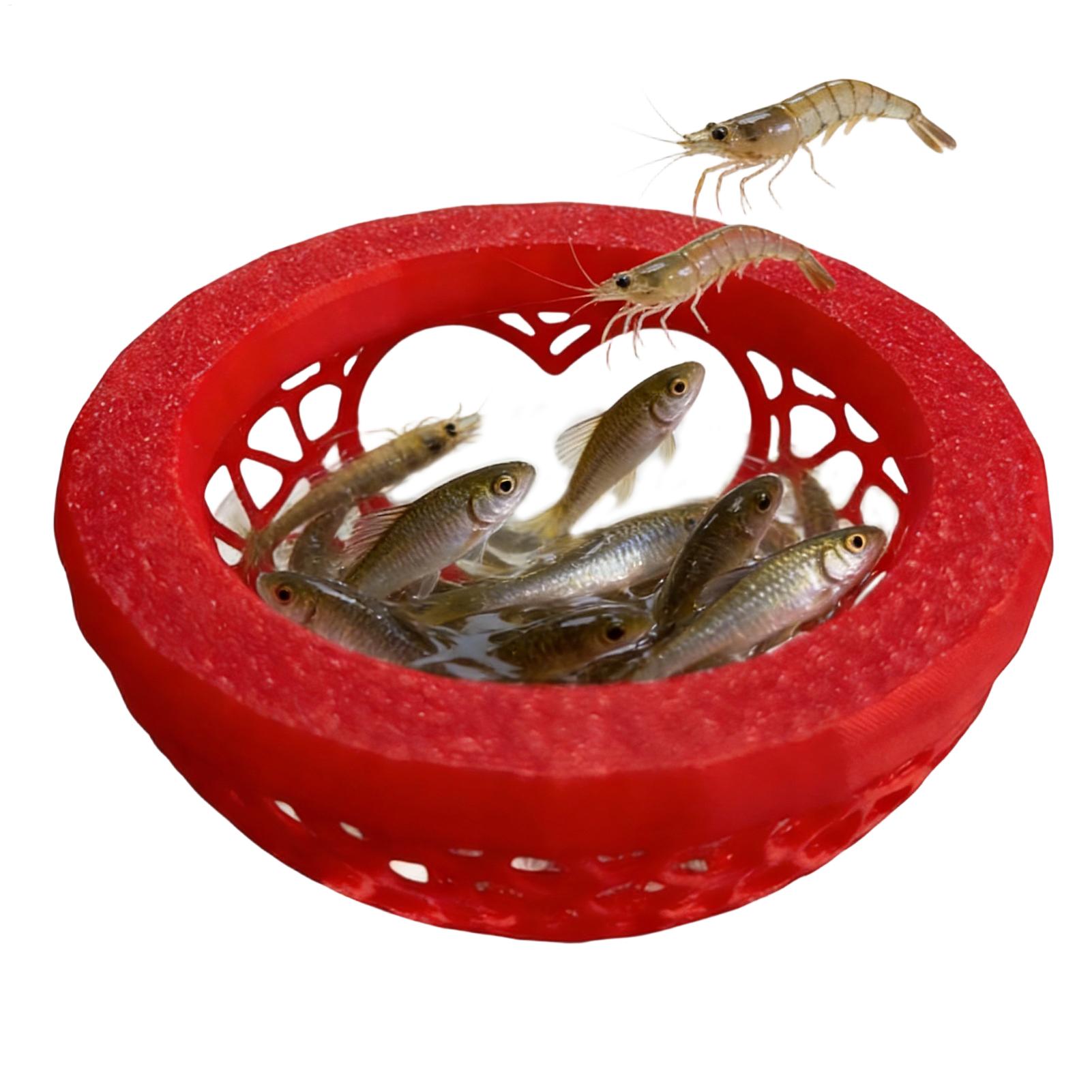 Yüzen beta yuvası Beta hamakı  - Planted Aquarium For Betta incelemesi ve fiyatı