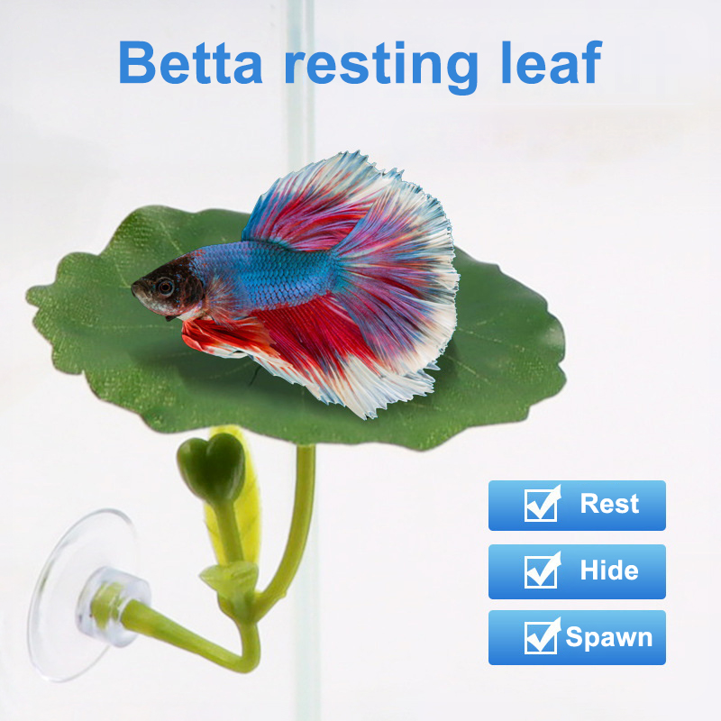 1 adet yeşil yaprak hamak Bett - Planted Aquarium For Betta incelemesi ve fiyatı