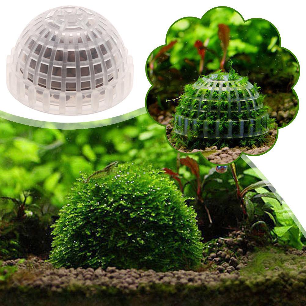 1 adet Akvaryum Yosun Topu Tut - Planted Aquarium Models incelemesi ve fiyatı