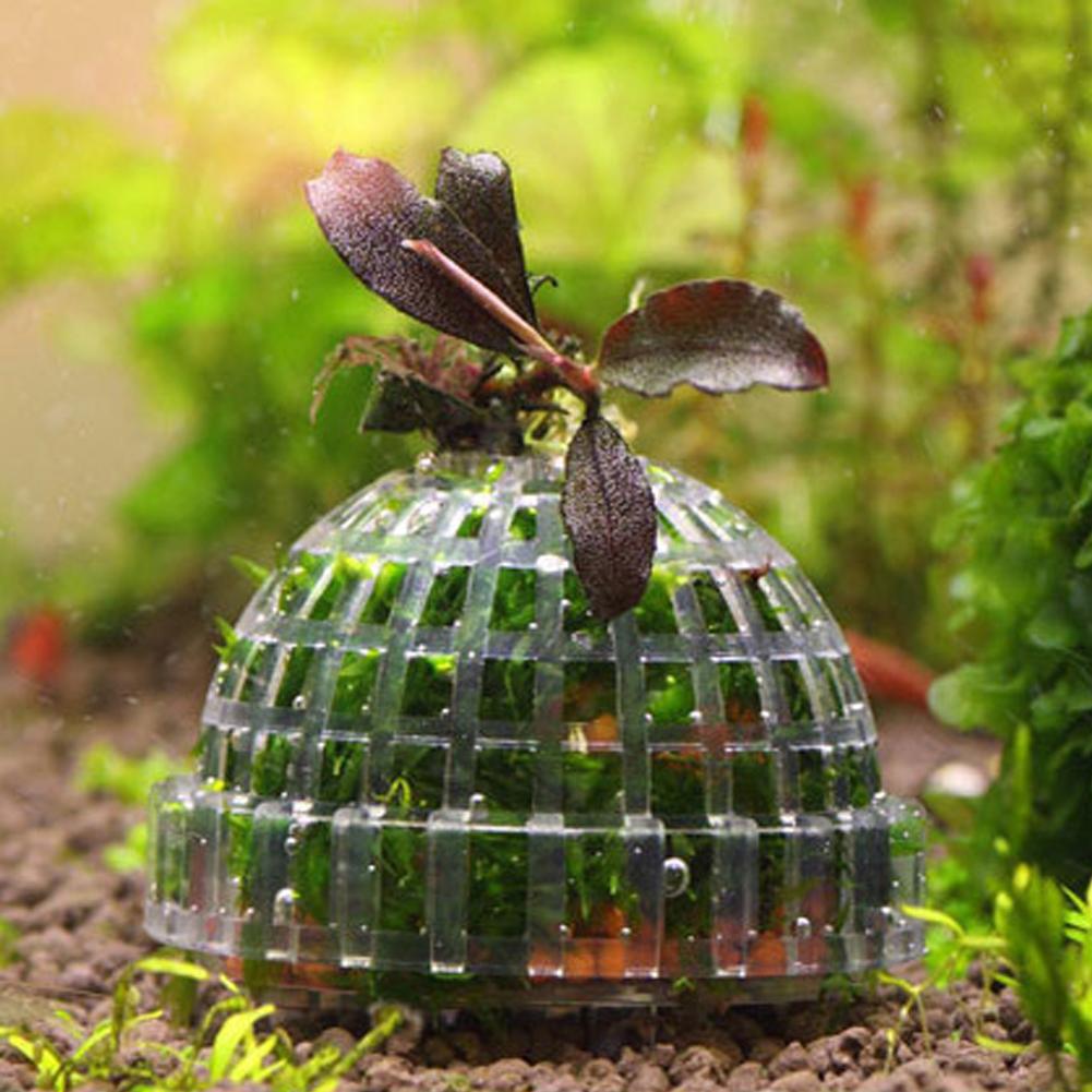 1 adet Akvaryum Yosun Topu Tut - Planted Aquarium Models incelemesi ve fiyatı