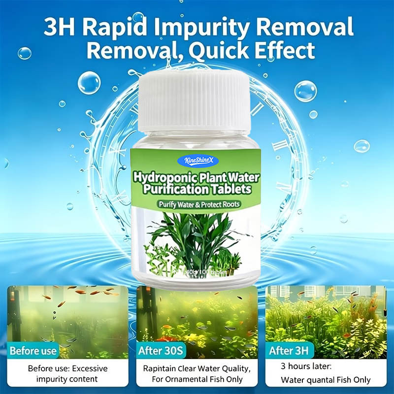 Hidroponik Su Arıtma Tabletler - Aquarium Plant In Pot incelemesi ve fiyatı