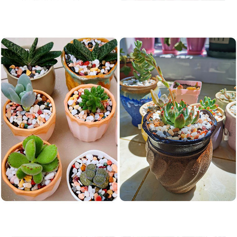 5mm Doğal Akvaryum Kumu 200g-8 - Planted Aquarium With Gravel incelemesi ve fiyatı