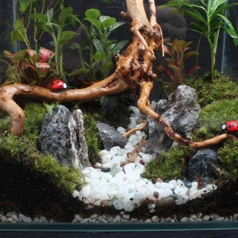 Doğal ağaç gövdesi Driftwood a - Aquarium Plant Design incelemesi ve fiyatı