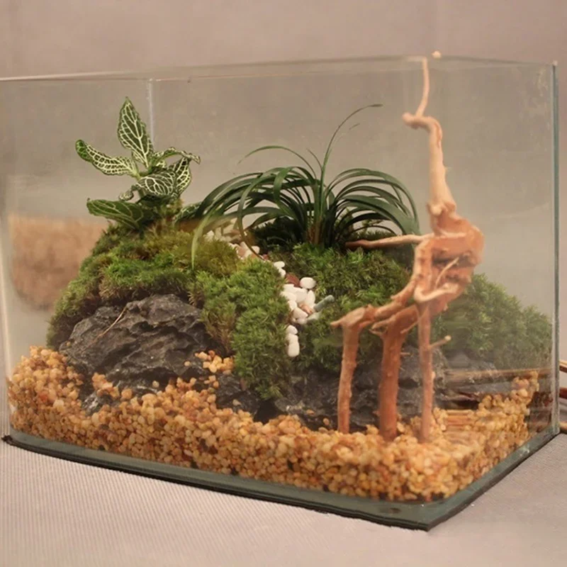 Doğal ağaç gövdesi Driftwood a - Aquarium Plant Design incelemesi ve fiyatı