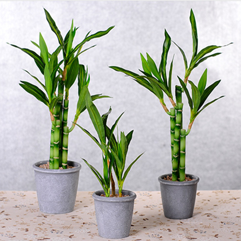 Yeni 40 cm rFtificial Şanslı B - Aquarium Plant In Pot incelemesi ve fiyatı