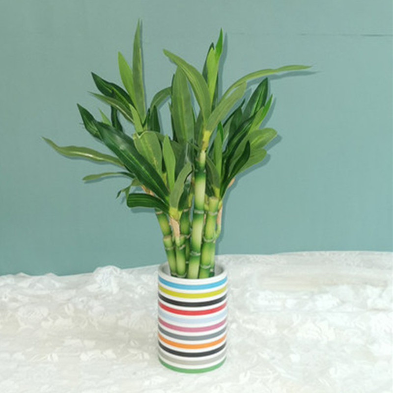 Yeni 40 cm rFtificial Şanslı B - Aquarium Plant In Pot incelemesi ve fiyatı