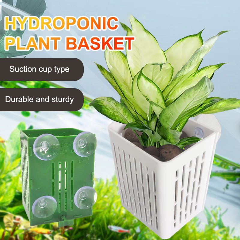 Asılı Vantuzlu Kanca Akvaryum  - Aquarium Plant Holder incelemesi ve fiyatı