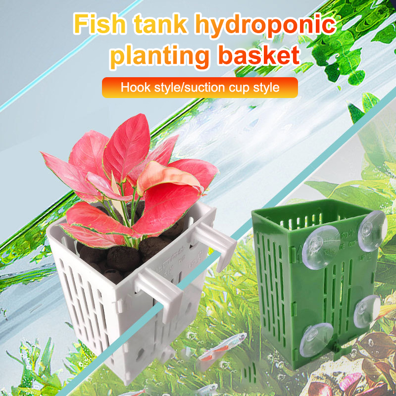 Asılı Vantuzlu Kanca Akvaryum  - Aquarium Plant Holder incelemesi ve fiyatı