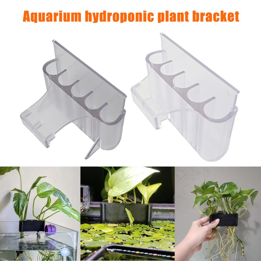 4.5/6.5cm akvaryum bitki tutuc - Aquarium Plant In Pot incelemesi ve fiyatı