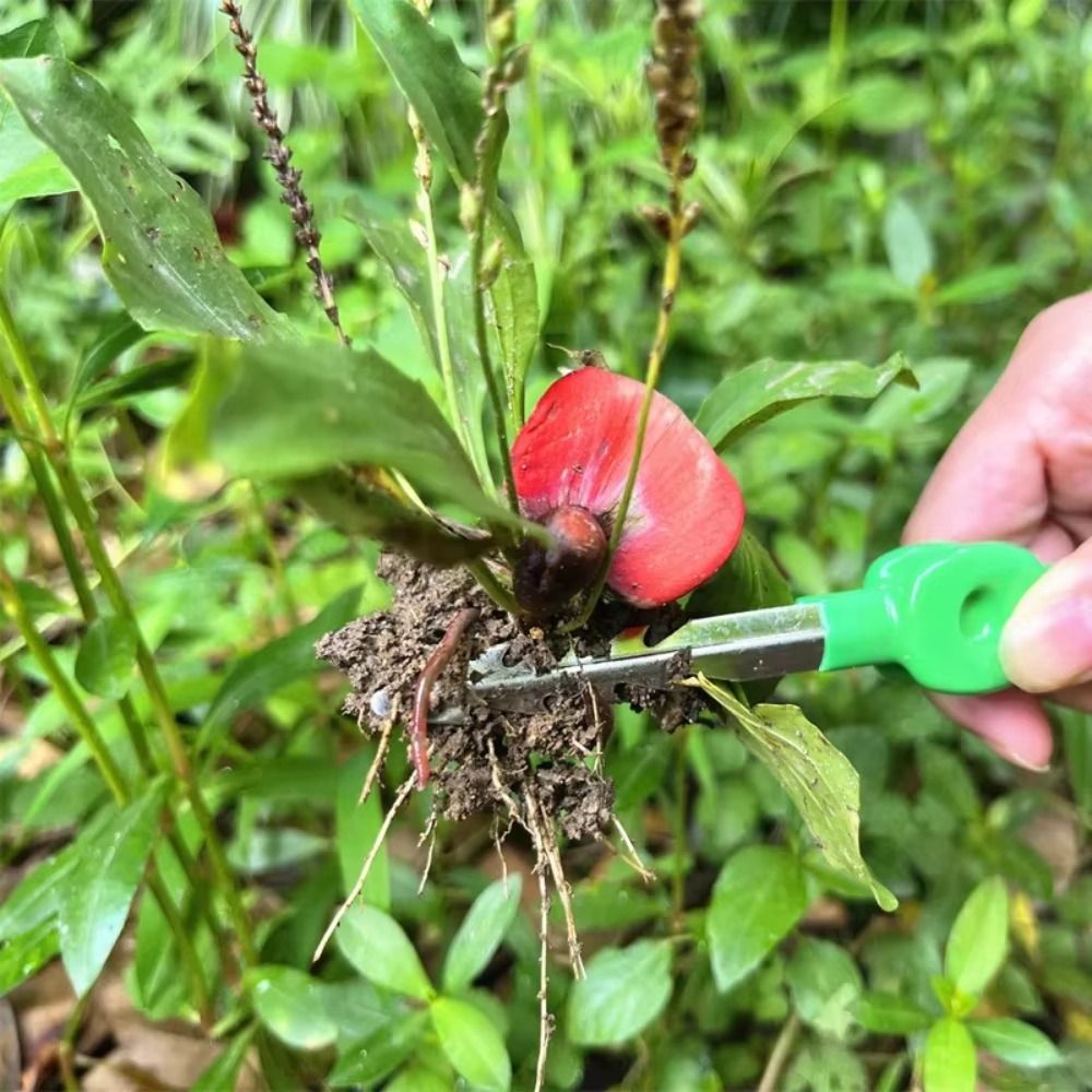 Paslanmaz Çelik Bahçe Cımbızı, - Planted Clip Tweezers incelemesi ve fiyatı