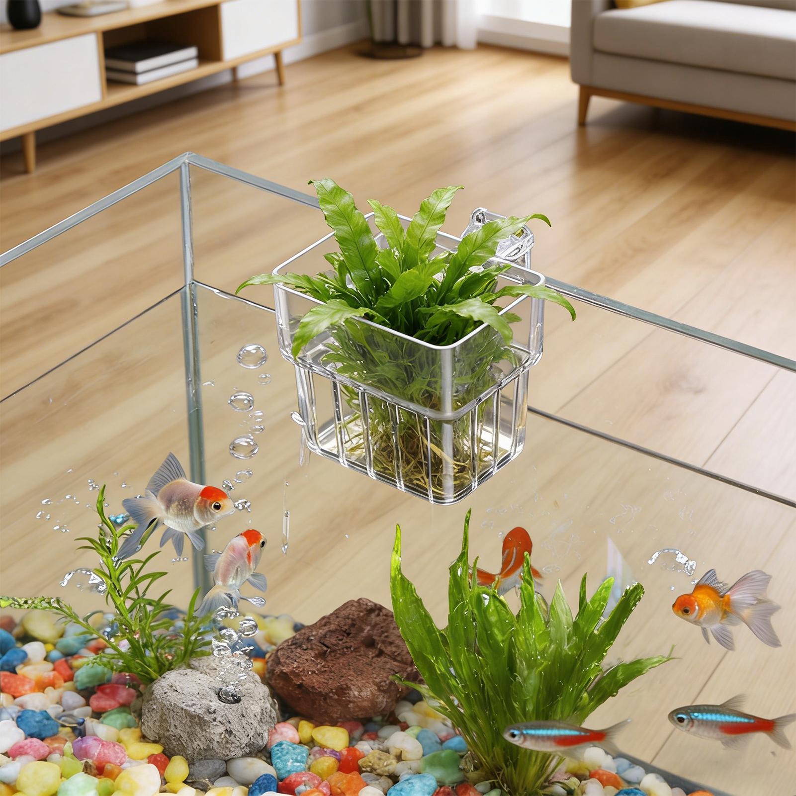 Balık Tankı Sabit Sepet Duvara - Aquarium Plant Holder incelemesi ve fiyatı