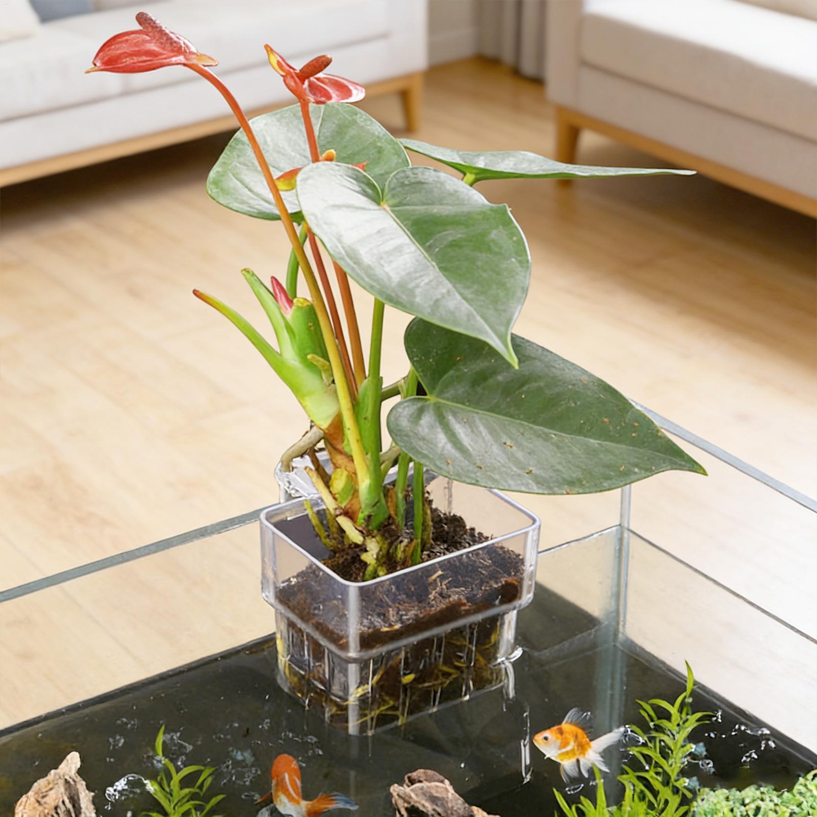 Balık Tankı Sabit Sepet Duvara - Aquarium Plant Holder incelemesi ve fiyatı