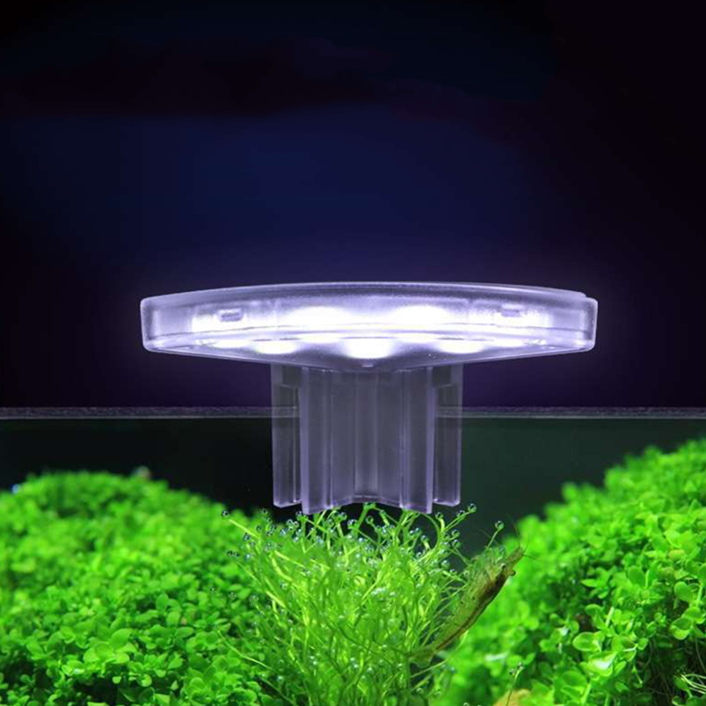 LED Bitkiler Büyütme Lambası E - Aquarium Plant Easy To Grow incelemesi ve fiyatı
