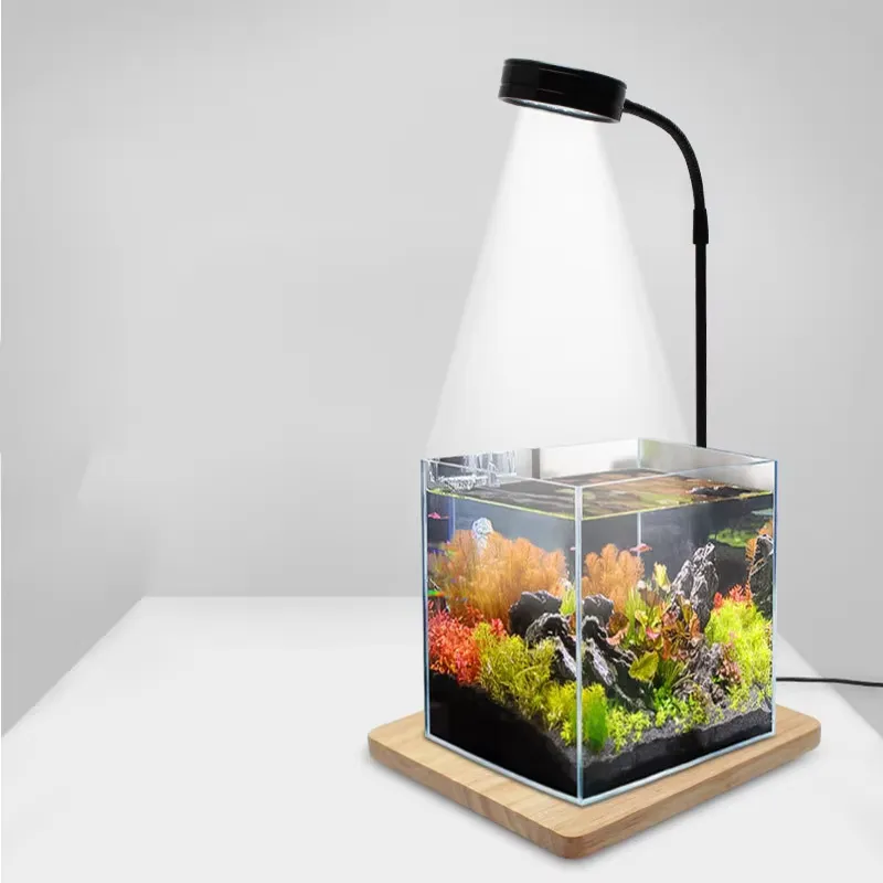 Akvaryum Nano Tankı Betta Balı - Planted Aquarium For Betta incelemesi ve fiyatı