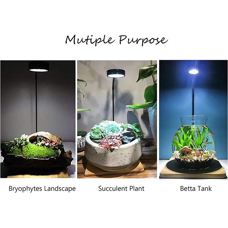 Akvaryum Nano Tankı Betta Balı - Planted Aquarium For Betta incelemesi ve fiyatı