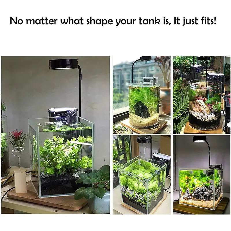 Akvaryum Nano Tankı Betta Balı - Planted Aquarium For Betta incelemesi ve fiyatı