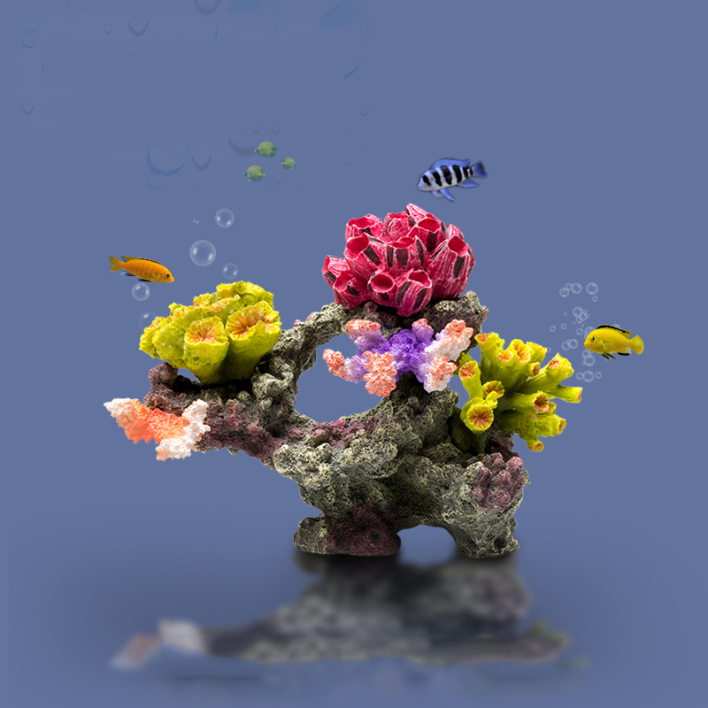 Betta Fishbowl süsler büyük me - Planted Aquarium For Betta incelemesi ve fiyatı