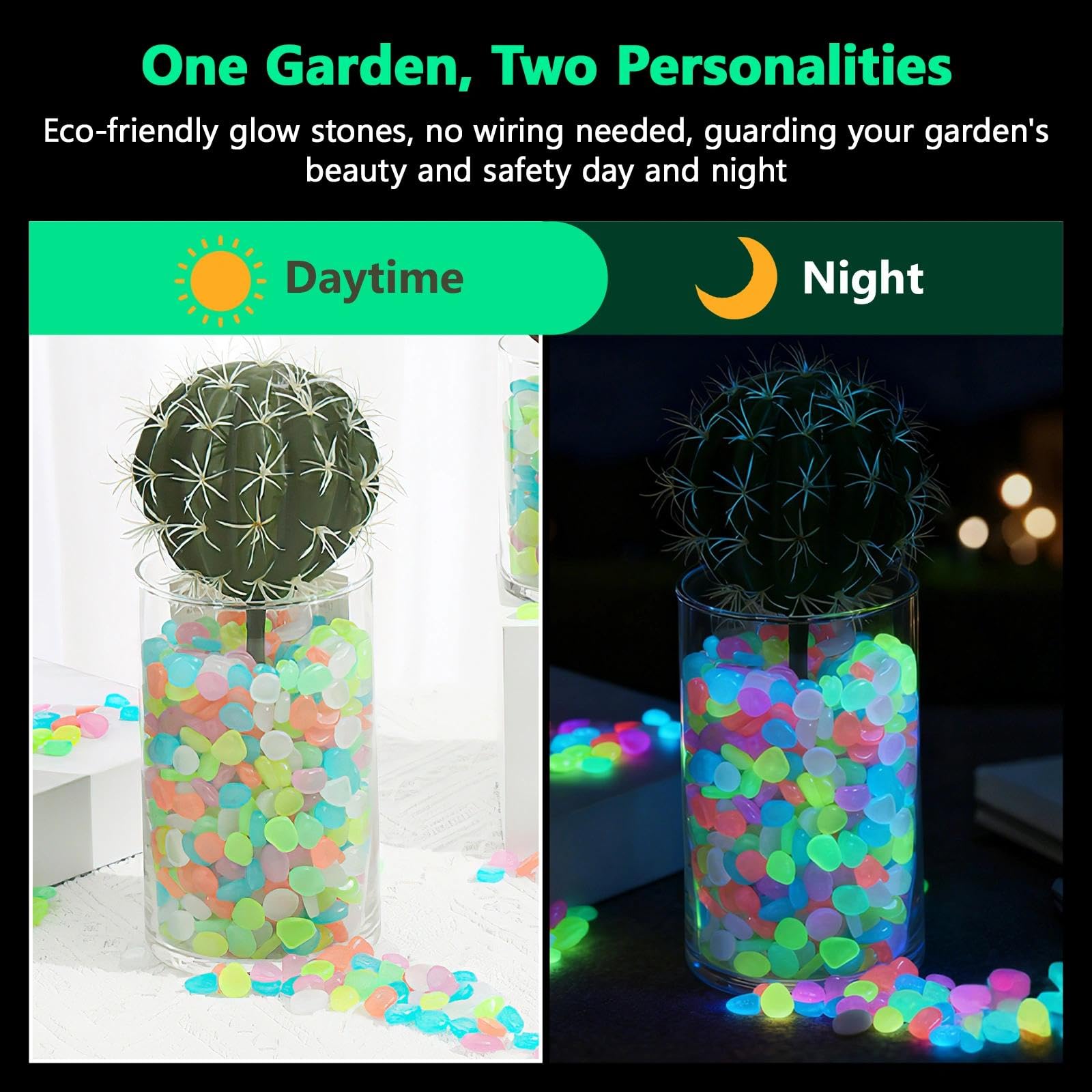 Saksı Bitkileri Karanlıkta Par - Aquarium Plant In Pot incelemesi ve fiyatı