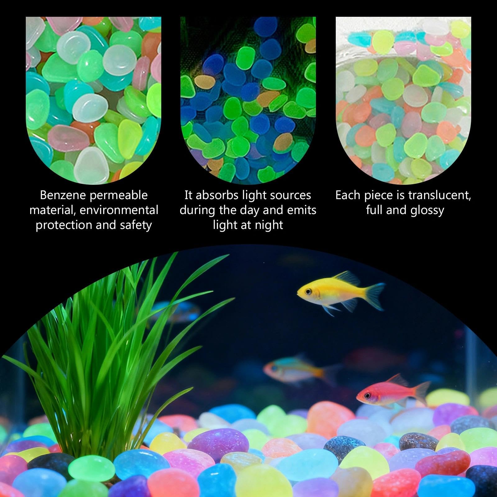 Saksı Bitkileri Karanlıkta Par - Aquarium Plant In Pot incelemesi ve fiyatı