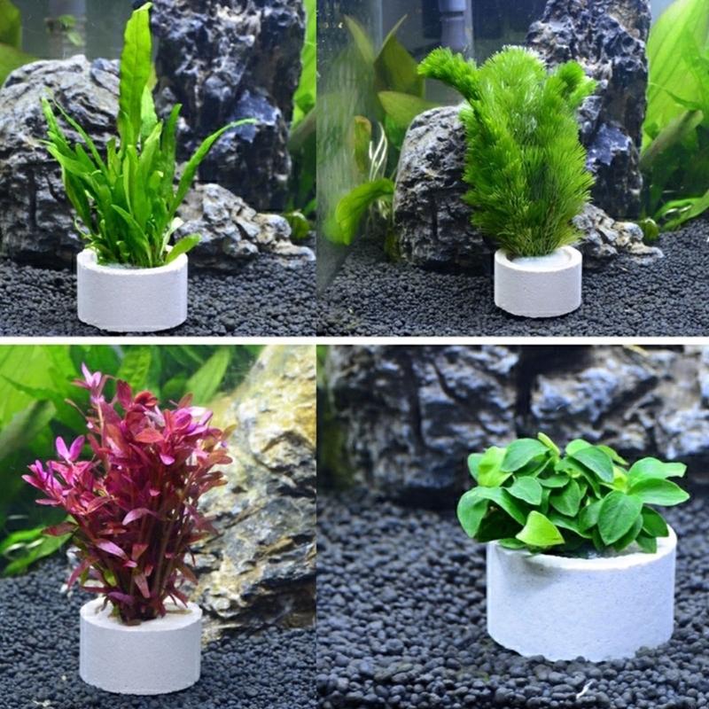 37ME 10 Adet Akvaryum Bitki Sa - Aquarium Planted Background incelemesi ve fiyatı