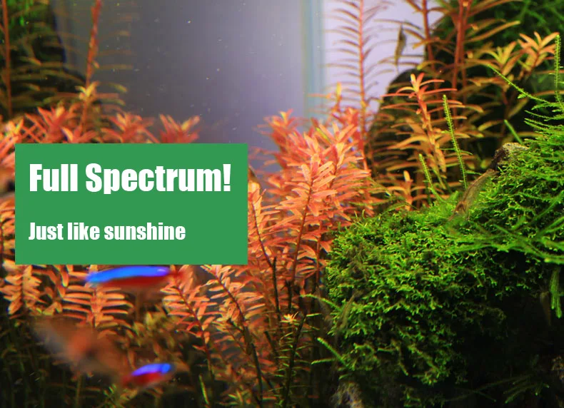 Spirürler C Serisi ADA Tarzı B - Aquarium Plant Growth Light incelemesi ve fiyatı