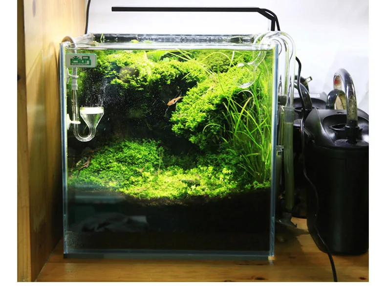 Spirürler C Serisi ADA Tarzı B - Aquarium Plant Growth Light incelemesi ve fiyatı