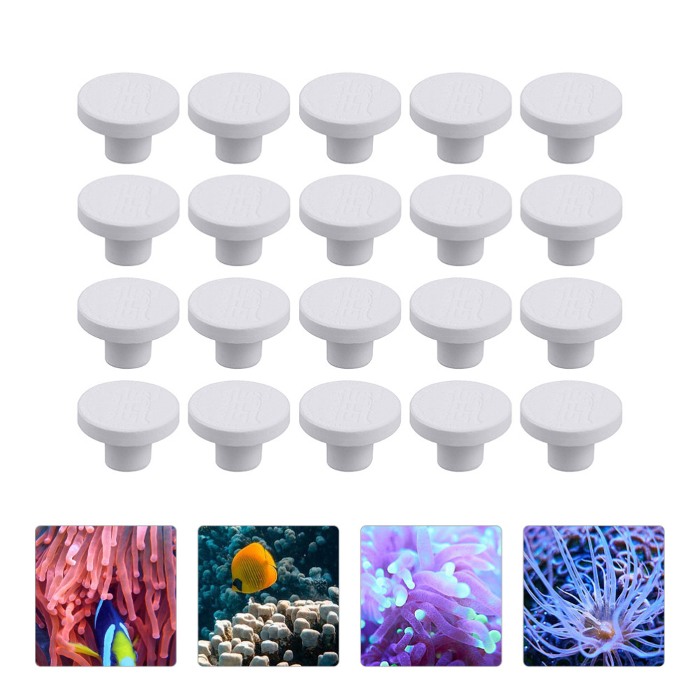 SPS Seramik Mercan Frag Plakal - Aquarium Plant Design incelemesi ve fiyatı