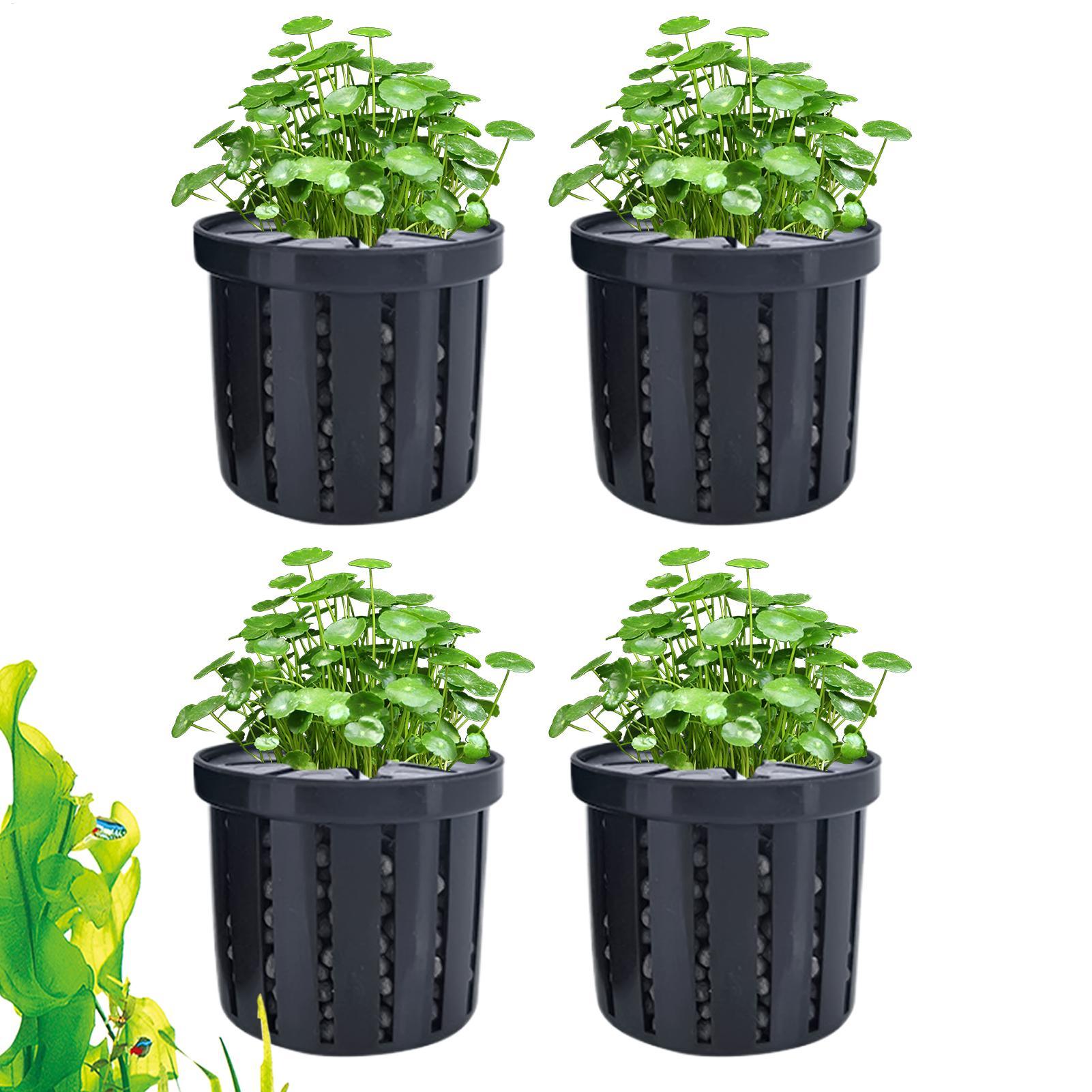 4 adet akvaryum saksı süngeri  - Aquarium Plant Holder incelemesi ve fiyatı