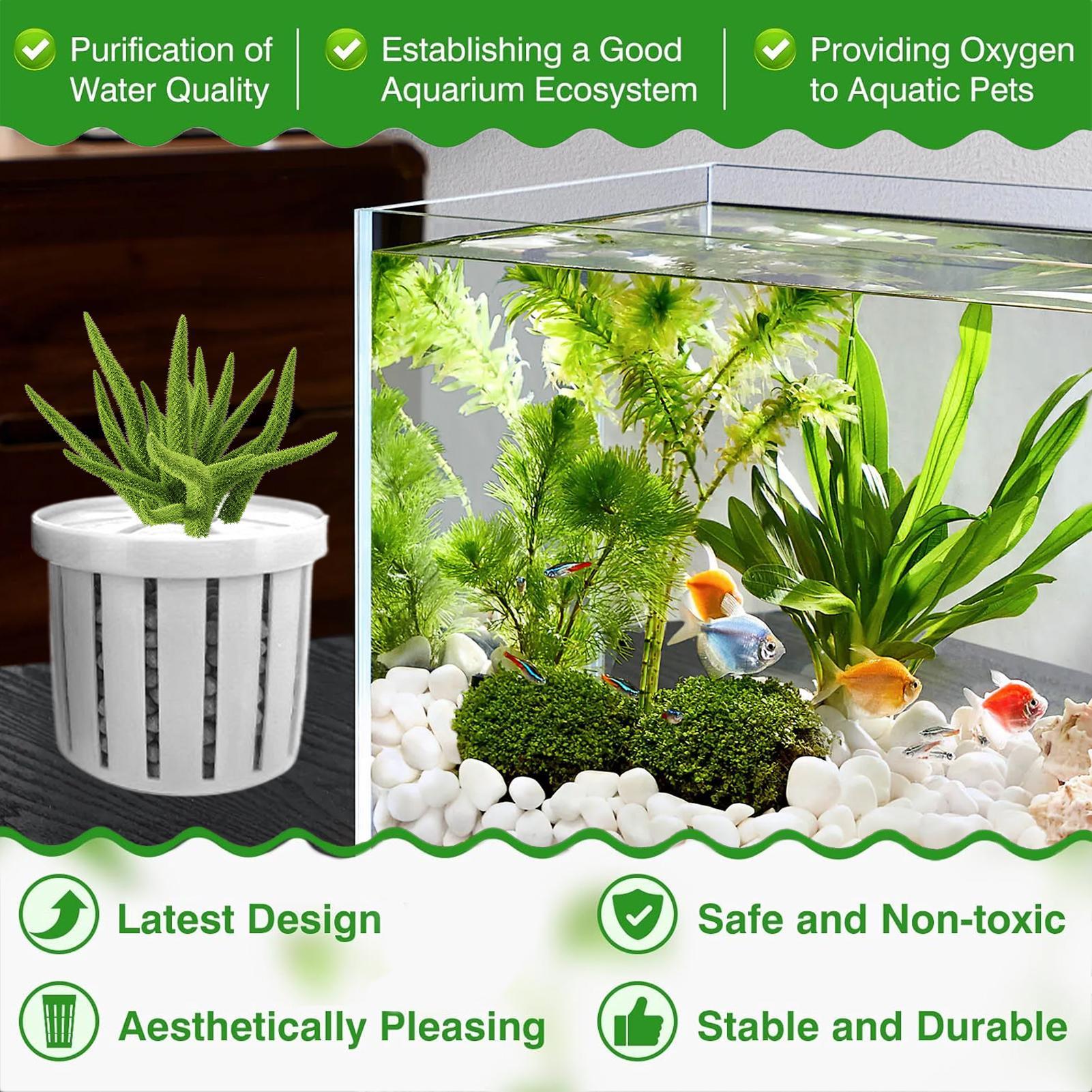 4 adet akvaryum saksı süngeri  - Aquarium Plant Holder incelemesi ve fiyatı