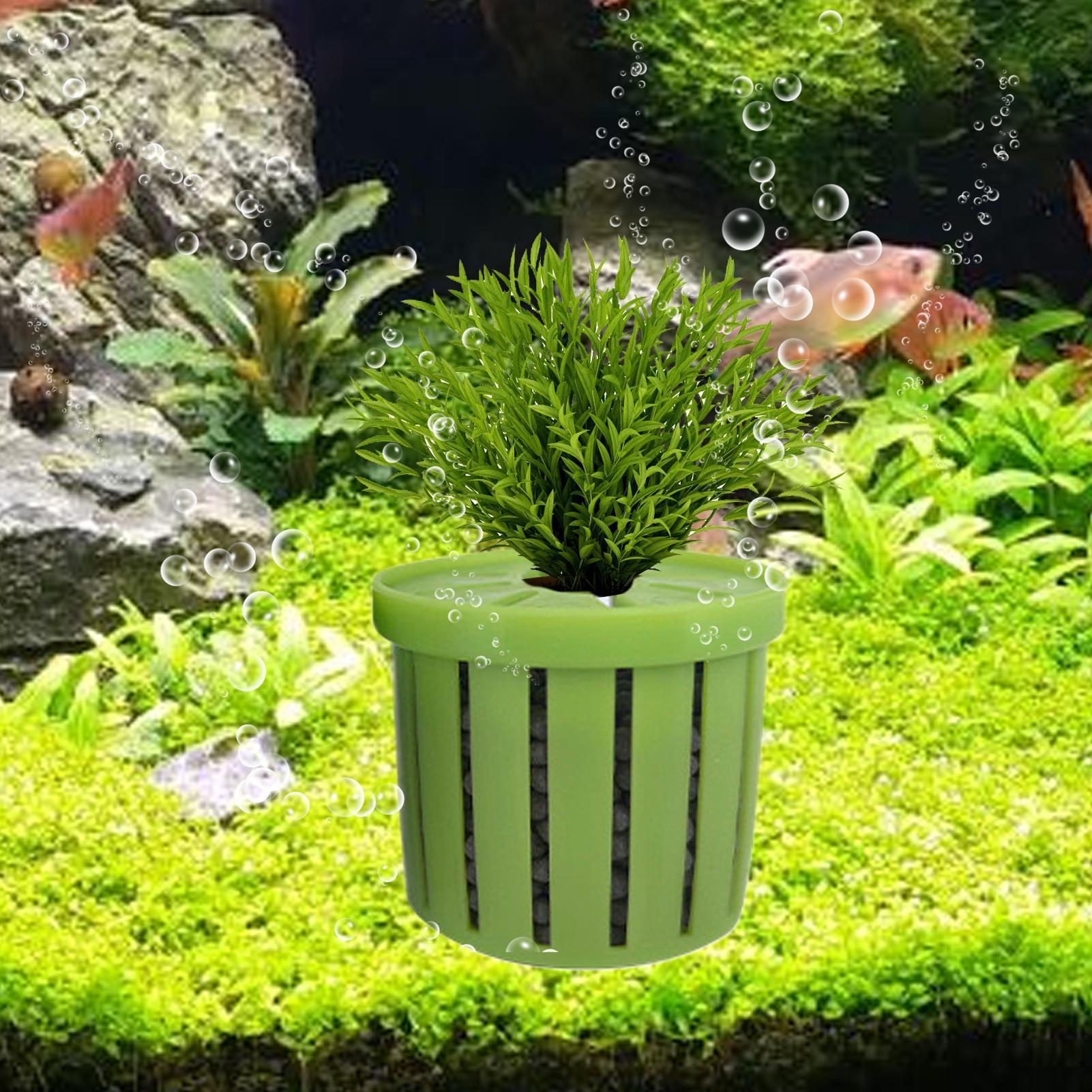 4 adet akvaryum saksı süngeri  - Aquarium Plant Holder incelemesi ve fiyatı