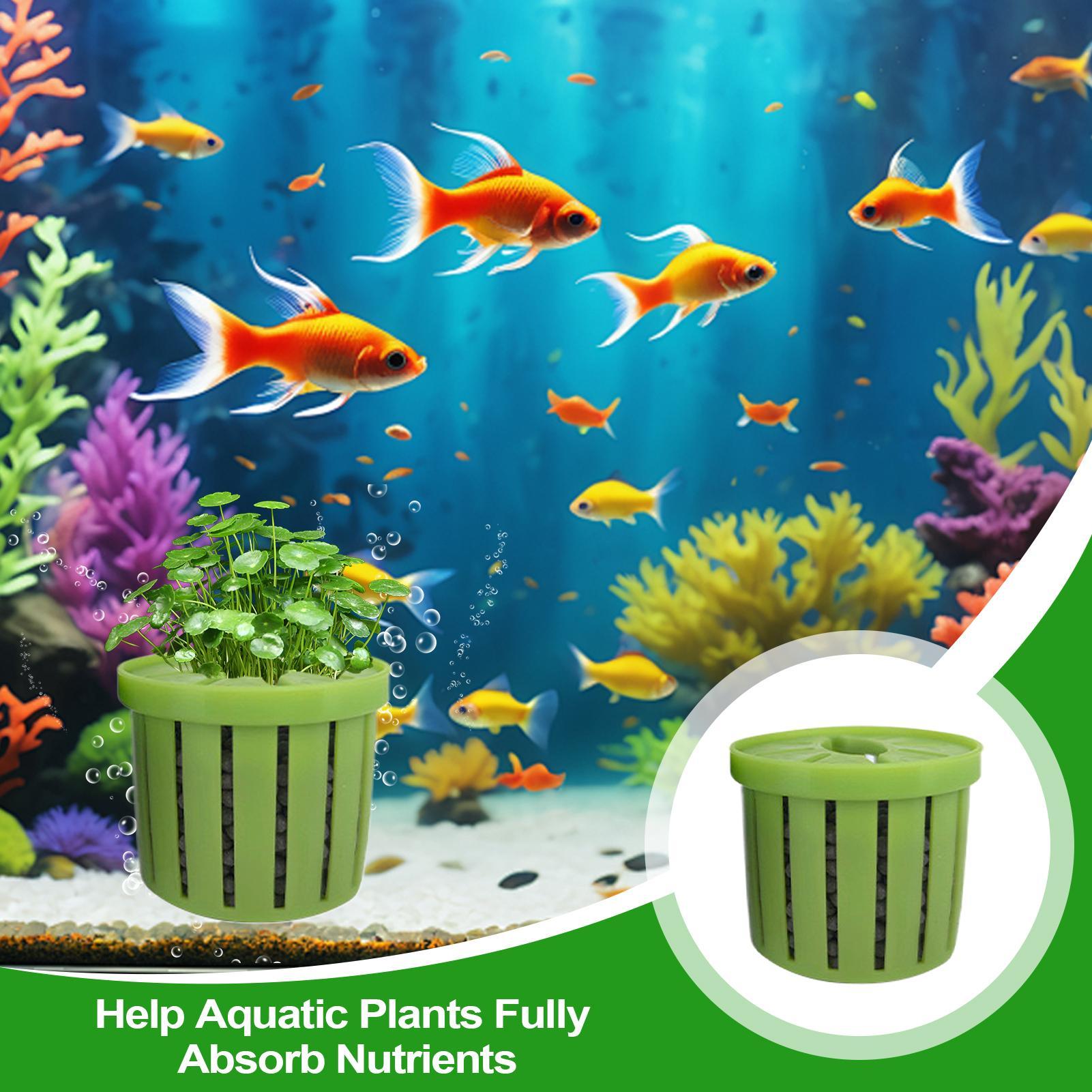 4 adet akvaryum saksı süngeri  - Aquarium Plant Holder incelemesi ve fiyatı