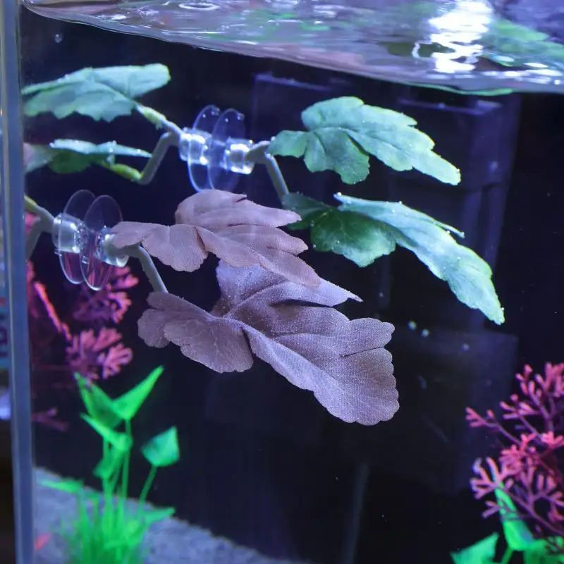 Betta Balığı Yaprak Hamağı Akv - Planted Aquarium For Betta incelemesi ve fiyatı